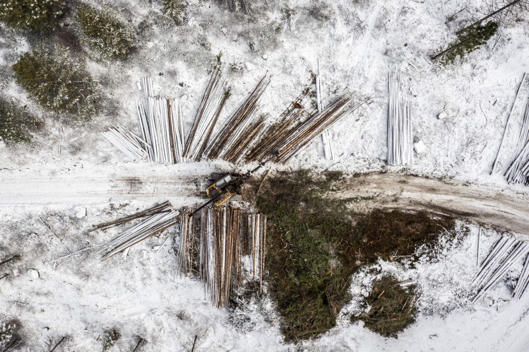 Photos of the week 08